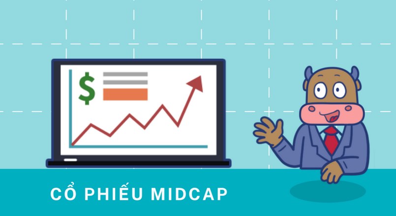 Cổ phiếu Midcap là gì? Phân biệt cổ phiếu Midcap, Penny và Bluechip