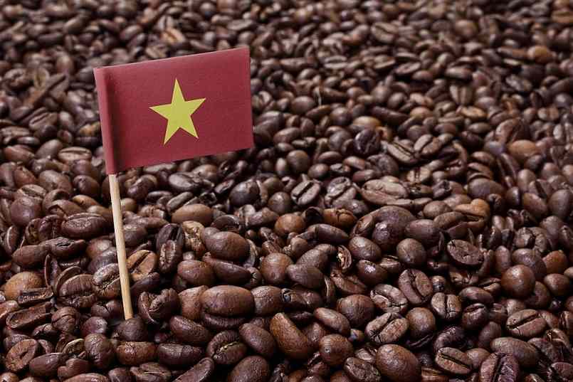 Giá cà phê trong nước hôm nay đồng loạt tăng tại các tỉnh